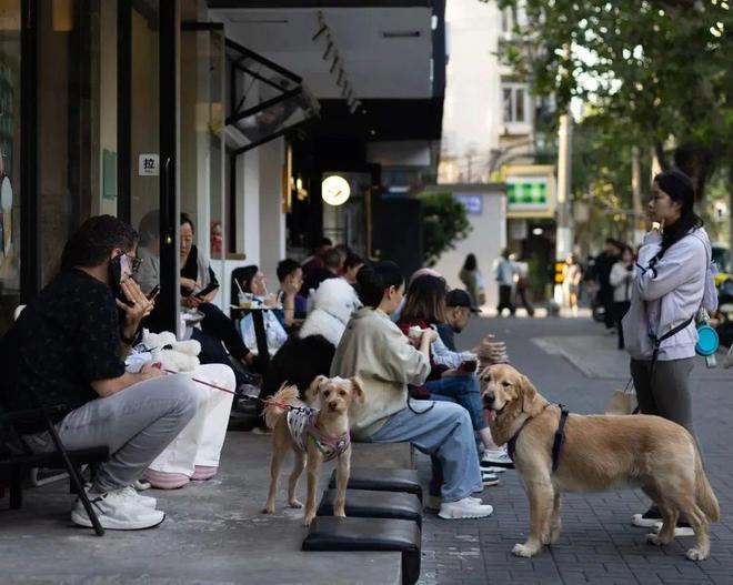 弃了双11爱上了“老年严选”AG真人平台这届脆皮年轻人抛(图11)