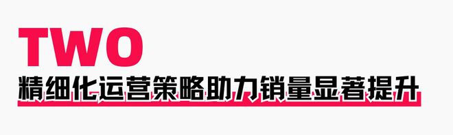 策略助力商家提升店铺层级月销售突破60WAG真人澳门百家家乐火蝠案例 定制营销(图11)